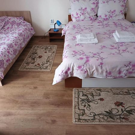 トゥルダ Casa Mateiヴィラ エクステリア 写真