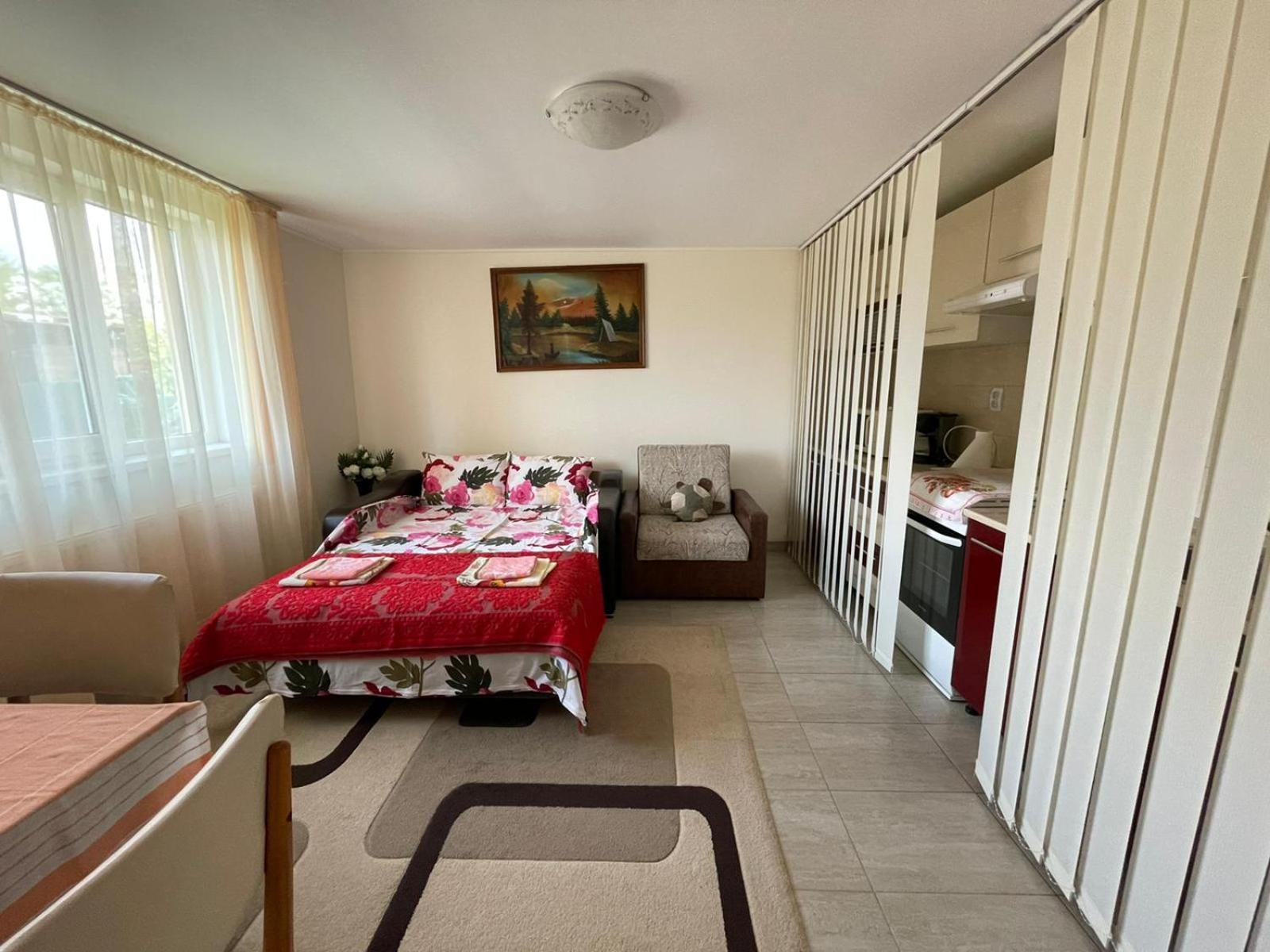 トゥルダ Casa Mateiヴィラ エクステリア 写真