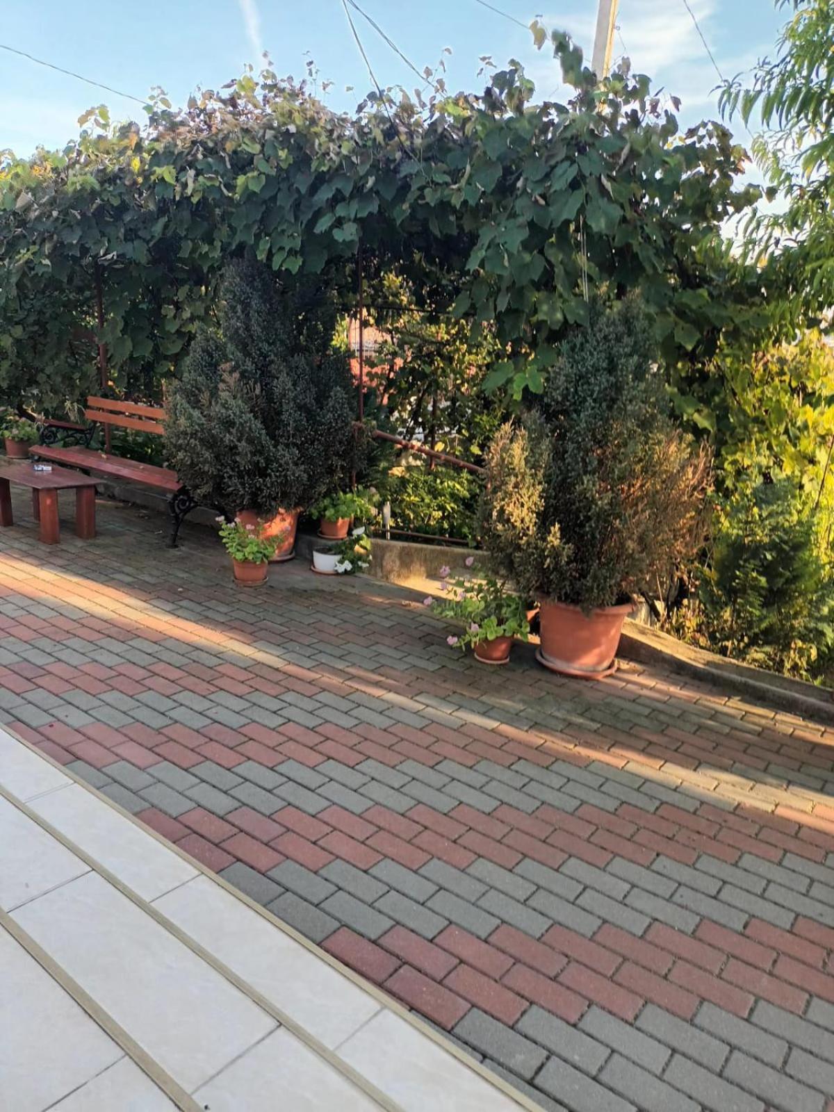 トゥルダ Casa Mateiヴィラ エクステリア 写真