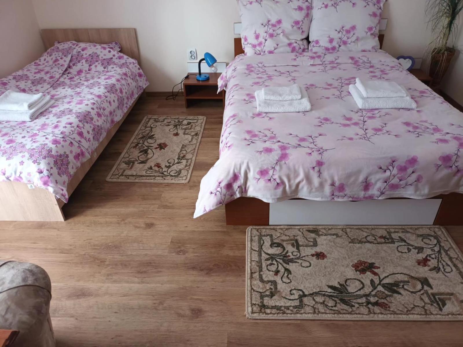 トゥルダ Casa Mateiヴィラ エクステリア 写真